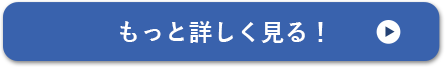 もっと詳しく見る